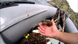 Подводная охота в Каче