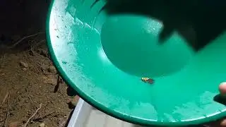 That is Gold Right There