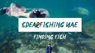 Exploring UAE - Spearfishing and Searching for Fish