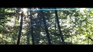 Sirui 1.33 anamorphic lens on Fujifilm XH2s