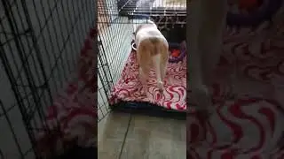 Клетка номер 6