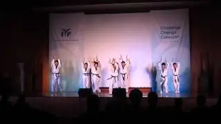 Taekwondo Dance