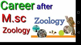 Career after M.sc Zoology | jobs after M.sc Zoology | M.sc Zoology & carrer|