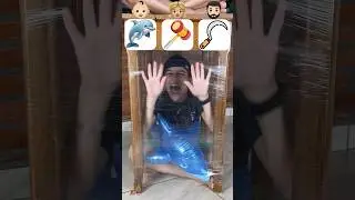 Será que o golfinho vai rasgar a parede?!😱 #shorts #challenge