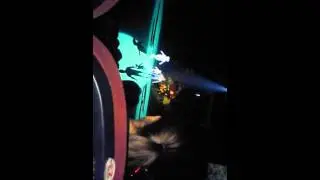 ЦИРК!? Новогоднее Сафари. #3