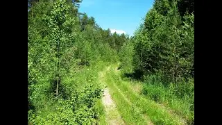 Копаем в лесу...Эмоции зашкалили от находки !!!