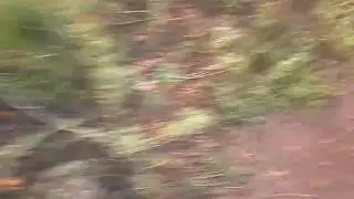 Уииииии(описание смотреть!)
