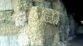 Галилео  Салфетки с рисунком