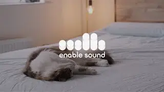 카페와 향기 🤍 enable Piano New Age