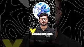 बिना पुरुषों के हो जाएगी दुनिया 😱😱 #chromosome #shorts #latestnews