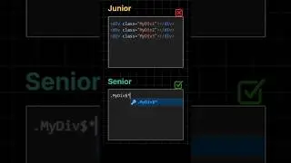 Senior vs junior developer 