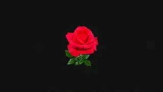 [FREE] Phora Type Beat 2021 