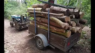 Tree logs saw for firewood DIY