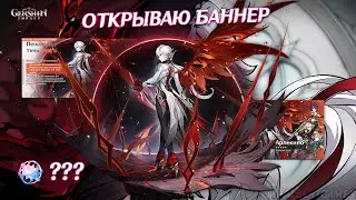 КРУЧУ БАННЕР АРЛЕКИНО В ГЕНШИНЕ 4.6