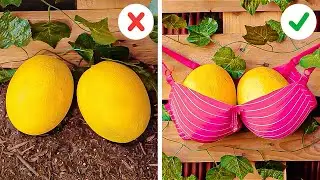 Simple Garden Hacks And Tips That Really Work
