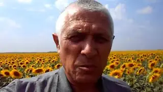 Настоящее Украинское Чудо - Море Подсолнухов!