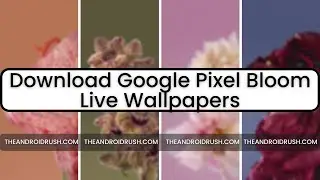 Install Pixel Live Bloom Wallpaper On Any Android 😲⚡ | Google Pixel 7 Pro Live Bloom Wallpaper