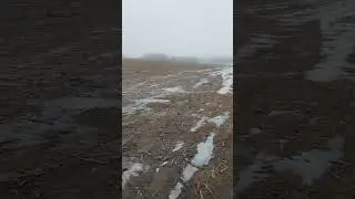 #т16