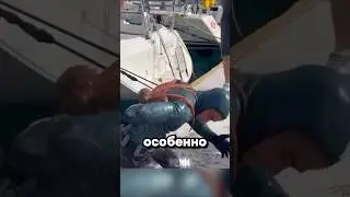 Щупальце в спину