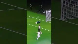 chupa ninovo duda