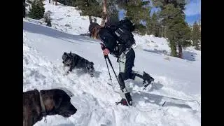 Splitboard Kickturn