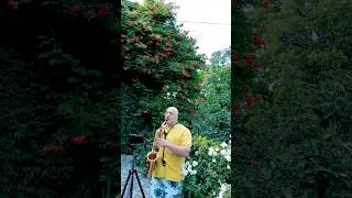 All of me  (1st fragment, cover) #saxcover #saxophone #music #jazz