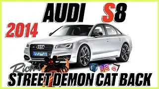 2014  Audi  S8 Street Demon Cat Back Exhaust With Dual Tips By Rich's