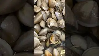 Kerang dara, tahu, hijau dan simping 