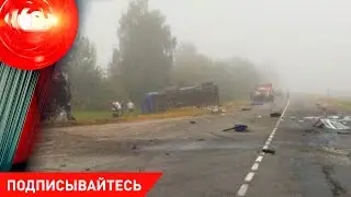 Смертельная трасса. Две аварии – четверо погибших; мошенники – на чем попались новые жертвы?