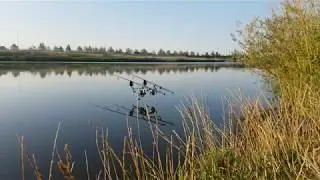 fox ntx-r run (karper run carp run)