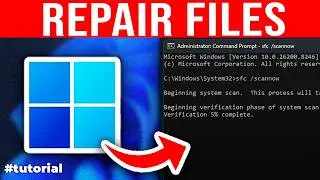 How to Run a System File Check SFC in Windows 11