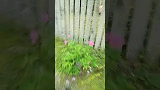 3 часть меня избили?