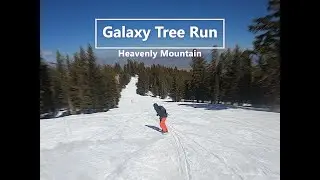 Tree Run near Galaxy Lift - Heavenly Mountain