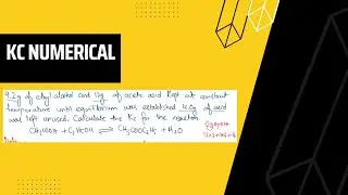 Chemical Equilibrium | Numerical |Kc Numerical 2021| XI Chemistry | Easy way.