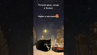 видео с котами) 
