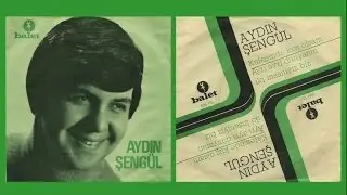 Aydın Şengül - Bizi Çekemediler Ne Çok Koştum Peşinden (Official Audio)