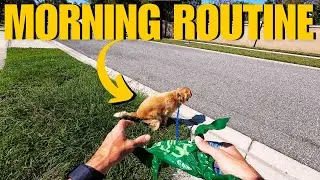 POV: Dog Walk Morning Routine (CICADA SEASON)