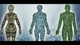 Signs Of Toxic Overload And How To prevent