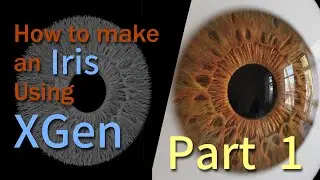How To Make An Iris Using XGen - Part 1 of 2 [Sub English/Japanese]