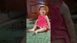 Даша и Котики
