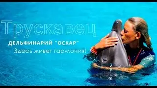 Дайвинг с дельфинами. Дельфинарий Трускавец