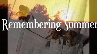 Remembering Summer