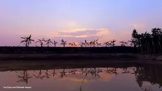 Sunset | Time Lapse | Xiaomi Yi 4K Action Cam