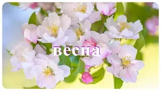 Весна