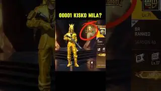 00001 golden criminal bundle kisko mila 