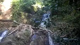 Tobago River