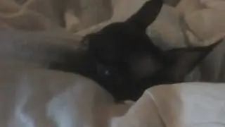 Ночь