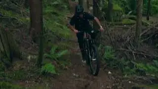 The Maxxis Dissector Returns