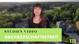 Survey Insights: Nachbarschaftsstreit
