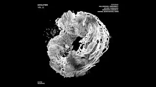 Mr Wox- Skyrim ( Original Mix ) /Eclipse Recordings